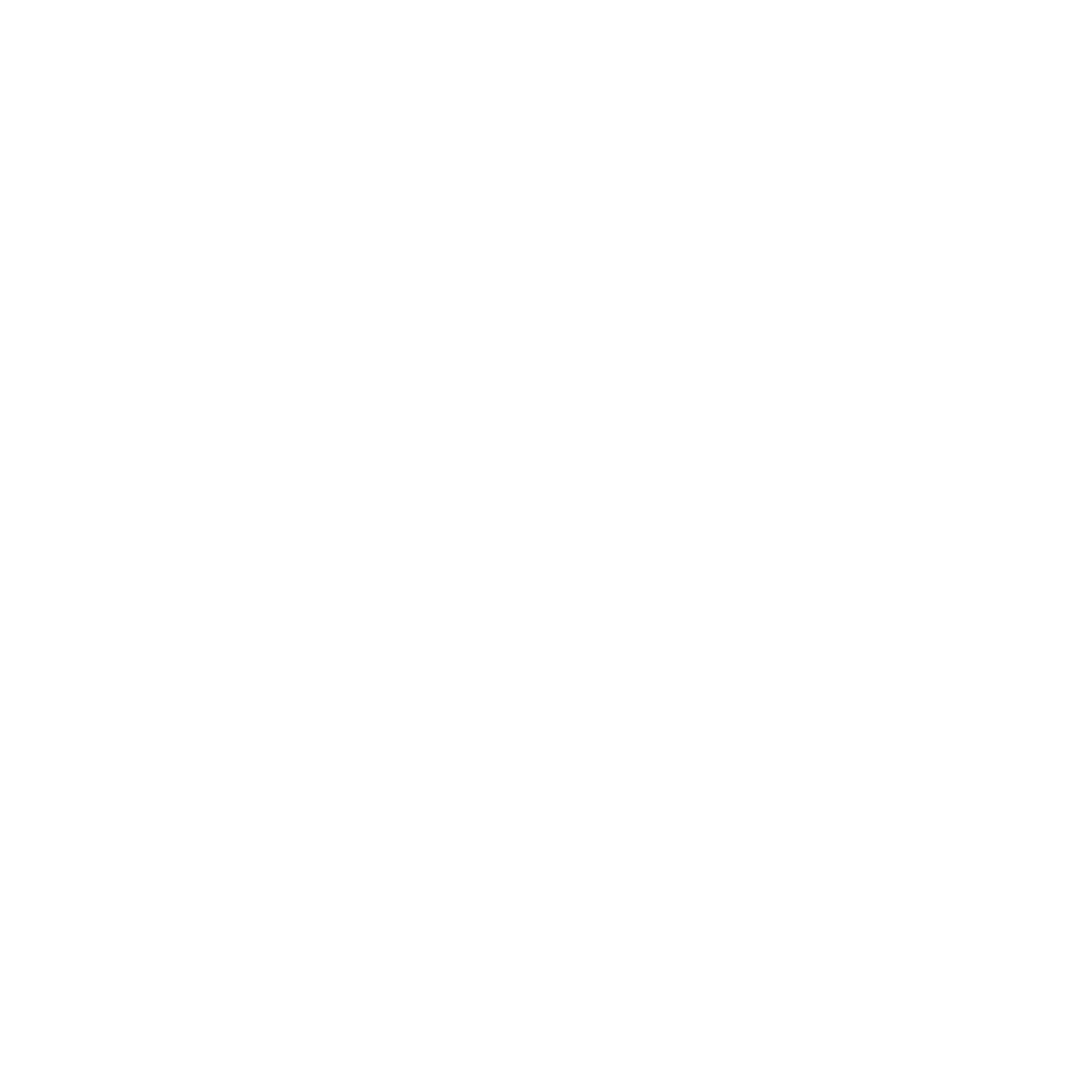 logo blanc (1) (1)