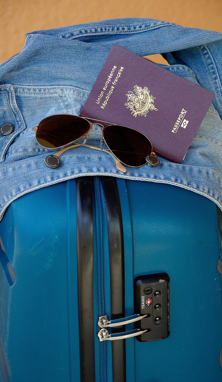 suitcase, departure, travel, passport, sunglasses, suitcase, suitcase, passport, passport, passport, passport, passport